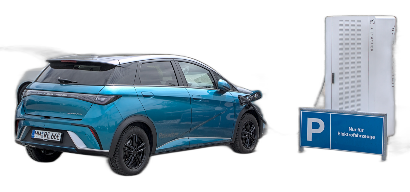 BYD Dolphin — perfil