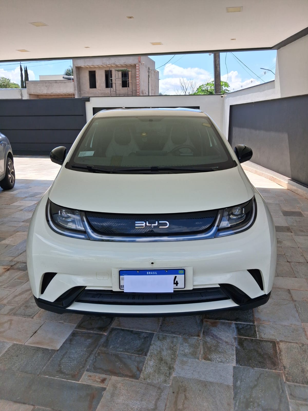BYD Dolphin GS